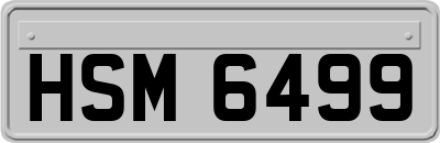 HSM6499
