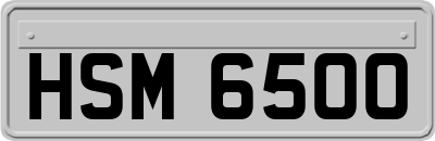 HSM6500