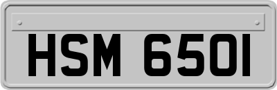 HSM6501
