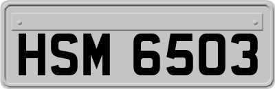 HSM6503