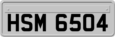 HSM6504