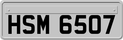 HSM6507