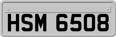 HSM6508