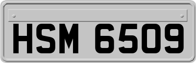 HSM6509