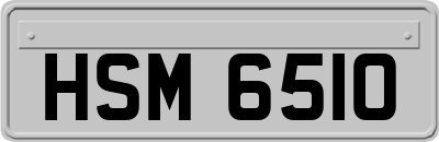 HSM6510
