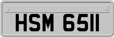 HSM6511
