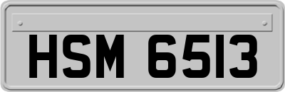 HSM6513