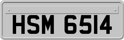 HSM6514