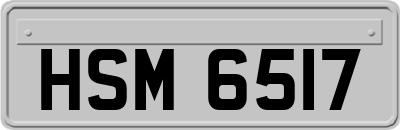 HSM6517