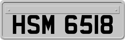 HSM6518