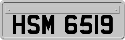 HSM6519