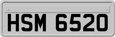 HSM6520