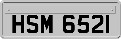 HSM6521