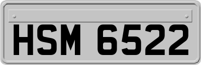 HSM6522
