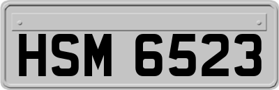 HSM6523