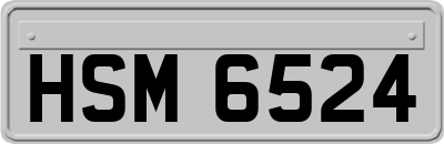HSM6524