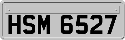 HSM6527