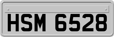 HSM6528
