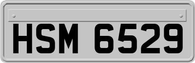 HSM6529