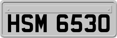HSM6530