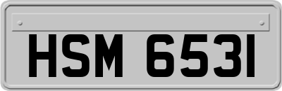 HSM6531