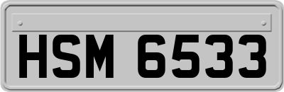HSM6533