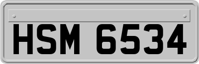 HSM6534