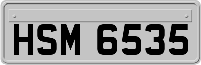 HSM6535