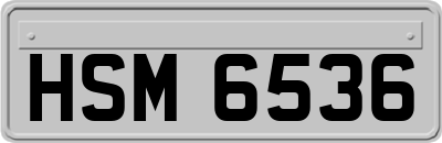 HSM6536