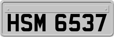 HSM6537
