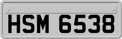 HSM6538