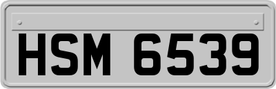 HSM6539