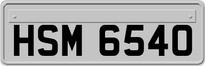 HSM6540