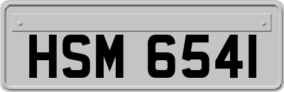 HSM6541