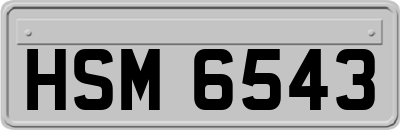HSM6543