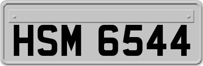 HSM6544