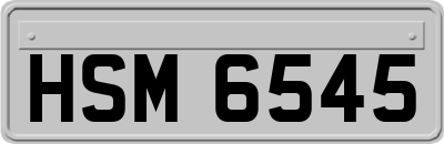 HSM6545