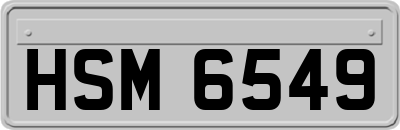 HSM6549