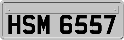 HSM6557