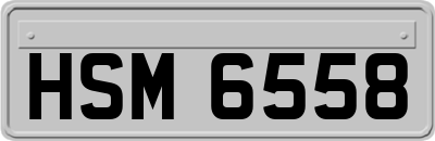 HSM6558