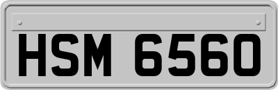 HSM6560