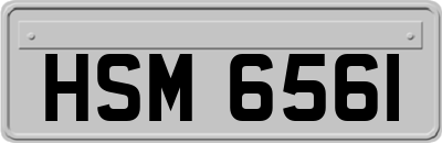 HSM6561
