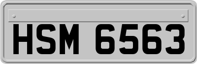 HSM6563