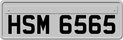 HSM6565