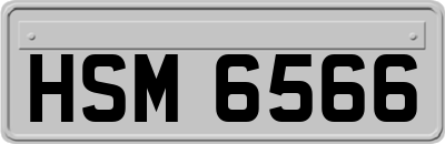 HSM6566