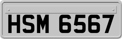 HSM6567