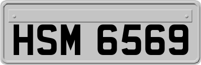 HSM6569