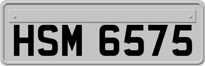HSM6575