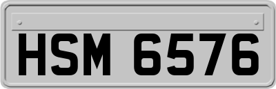 HSM6576