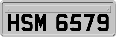 HSM6579